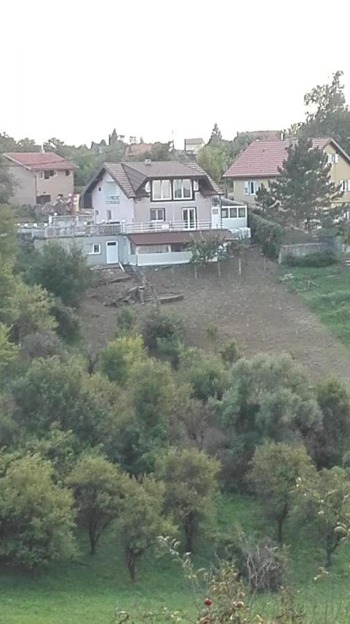Panorama Apartman Molvice Luaran gambar